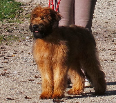 Du Domaine Des Jalots - IPPY